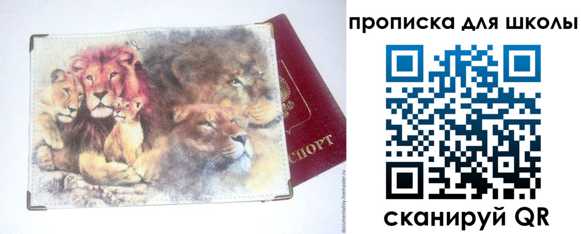 временная регистрация гарантия в Полярных Зорях