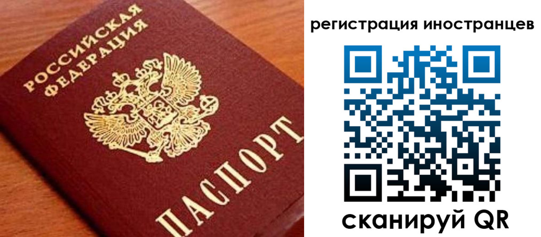 временная регистрация поиск в Полярных Зорях