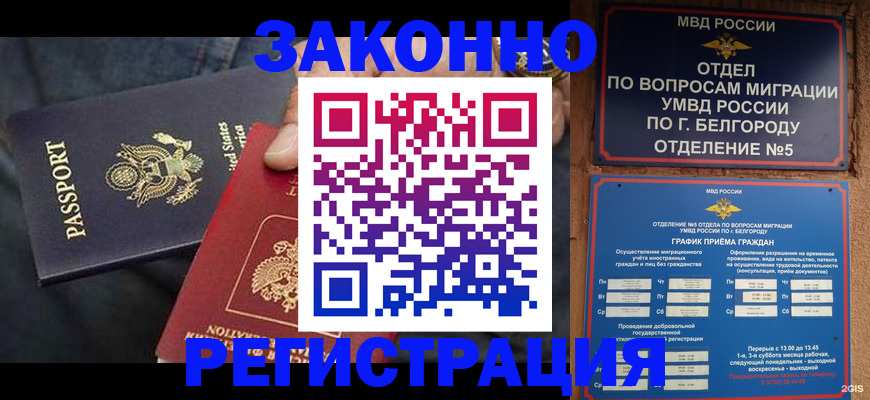 прописка законно в Полярных Зорях